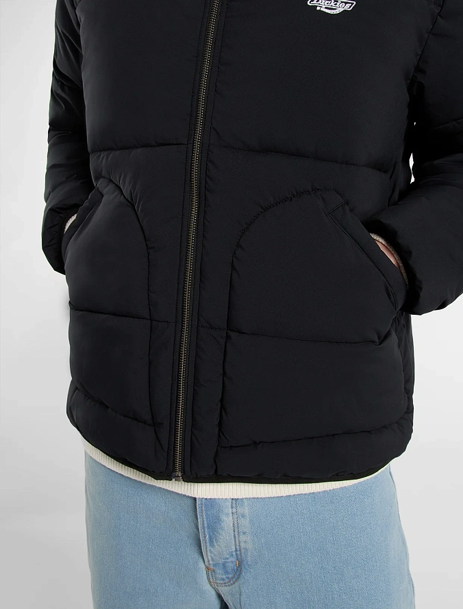 Куртка Dickies Summerdale Puffer Black
